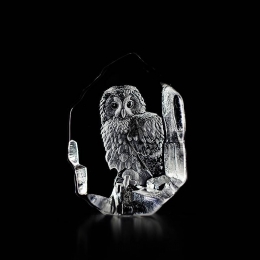 Mats Jonasson Crystal - WILDLIFE - Tawny owl - 33602