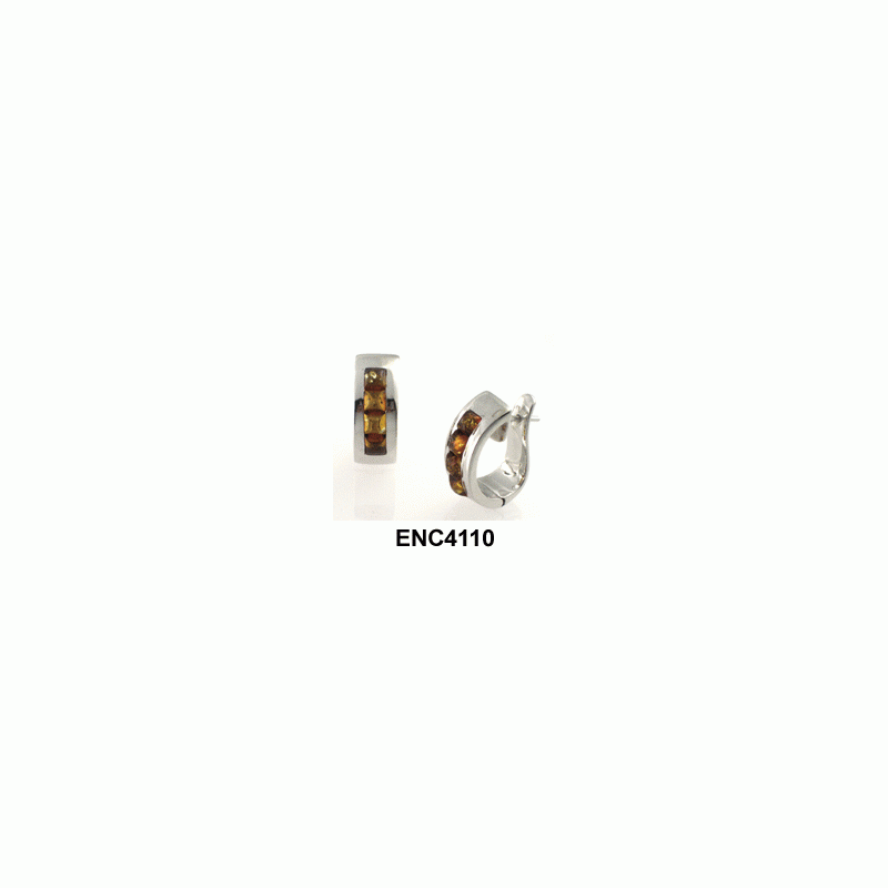ENC4110-020.gif