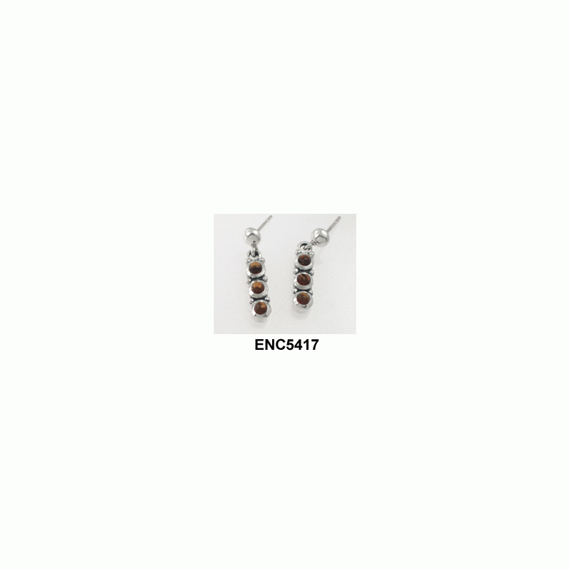 ENC5417-020.gif
