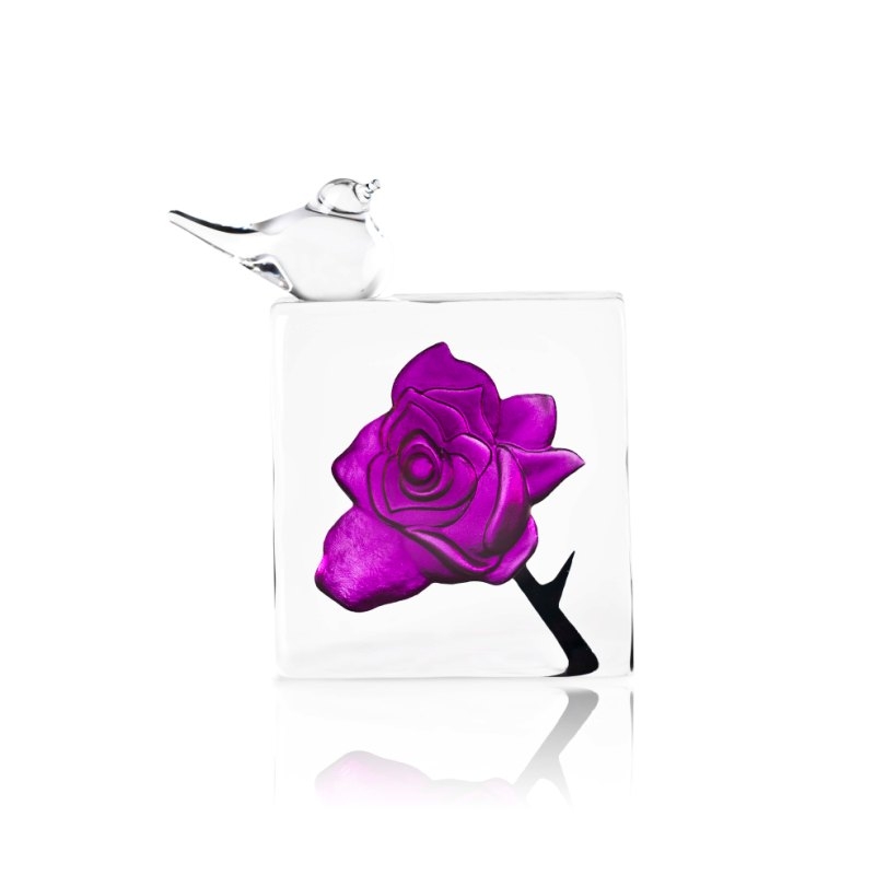 34098 Blackbird purple rose.jpg