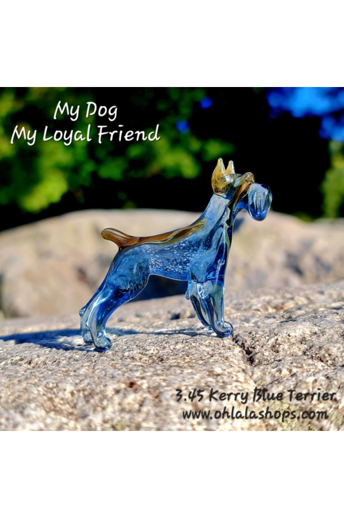 3.45_Kerry Blue Terrier.jpg
