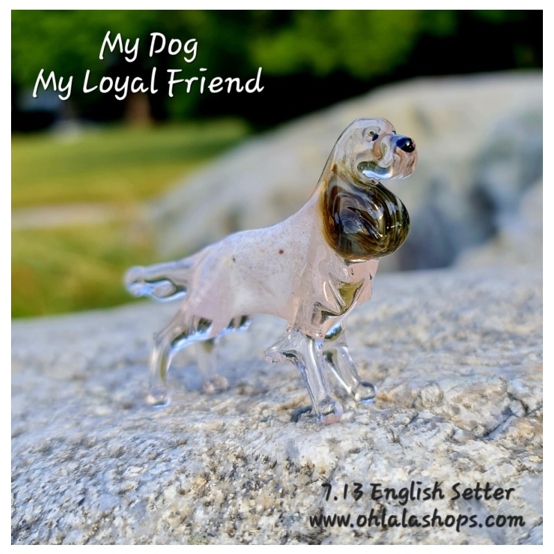 7.13_English Setter.jpg