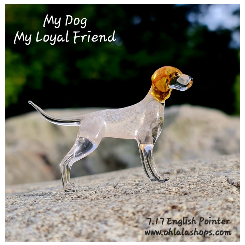 7.17_English Pointer.jpg