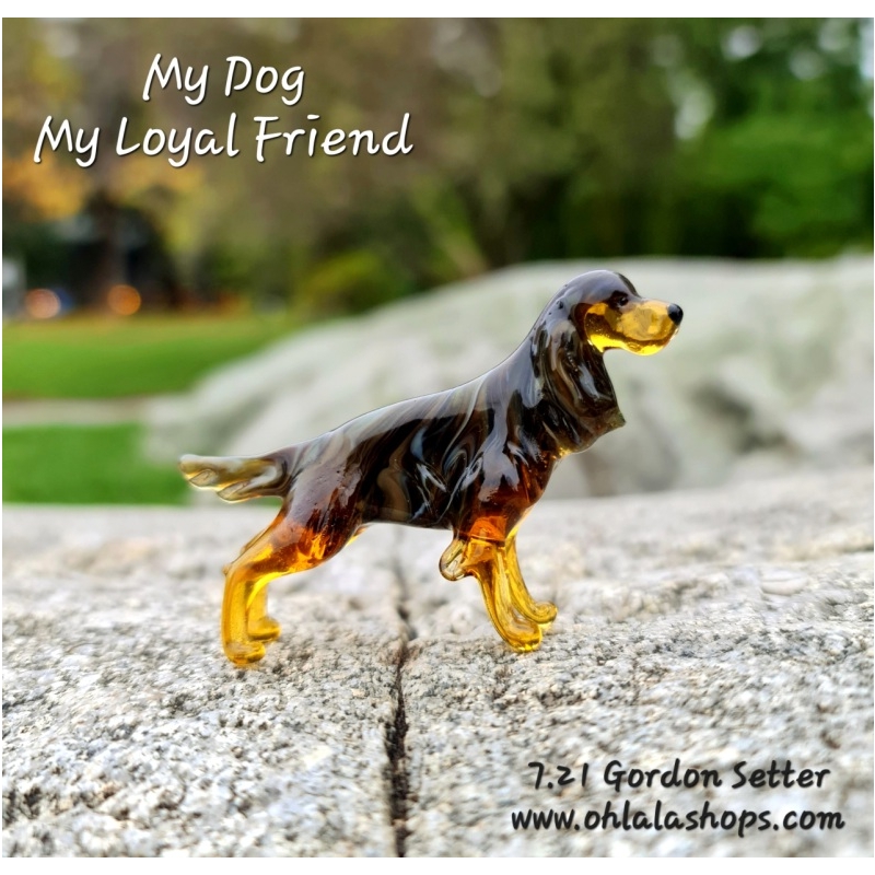 7.21_Gordon Setter.jpg