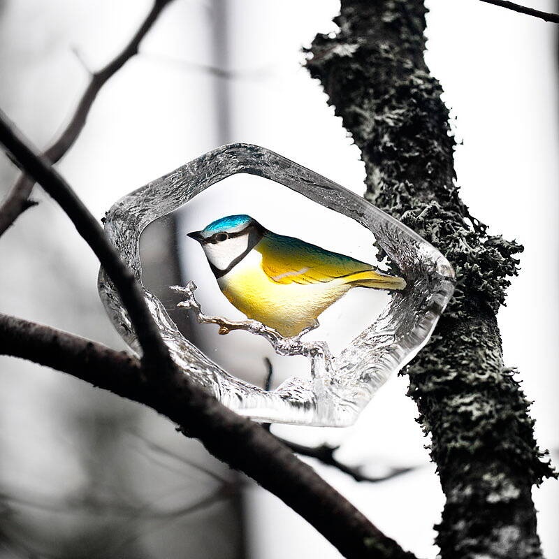 34266_nature.jpg