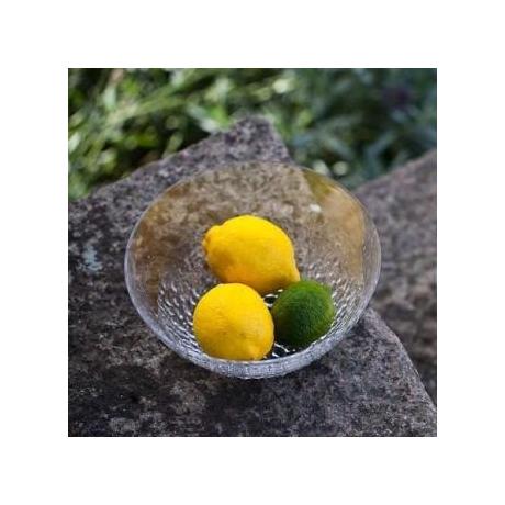INTO THE WOODS clear crystal Bowl by Ludvig Löfgren, Ø = 200 mm - 56082