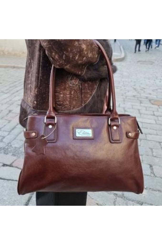 Elite Style Italian Genuine Vegetable Tanned Leather - Classy women's professional bag S-1800-brown