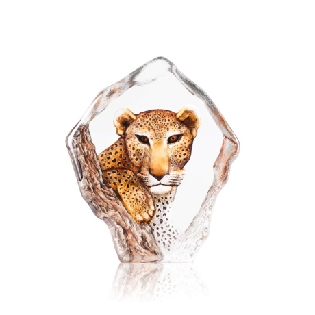 Mats Jonasson Crystal - LIMITED EDITION - WILDLIFE The Big Five - Leopard - 34113