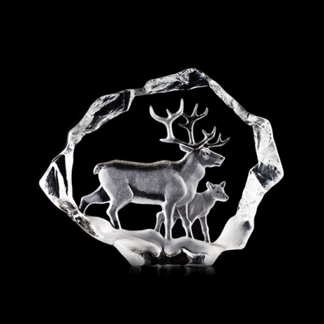 Mats Jonasson Crystal - LIMITED EDITION - WILDLIFE Reindeer and calf - 34151