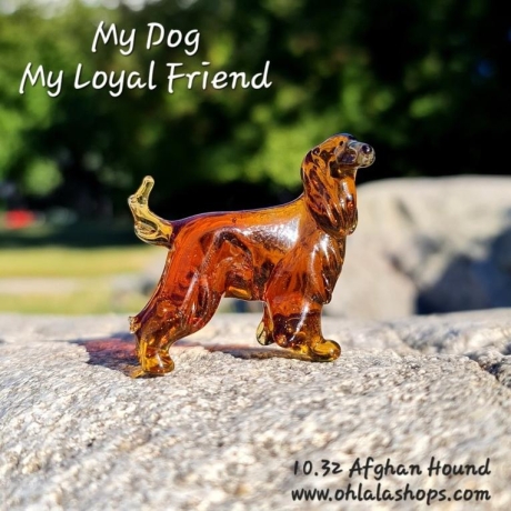 10.32 AFGHAN HOUND - LEVRIER AFGHAN - AFGHANISCHER WINDHUND - LEBREL AFGANO - brown