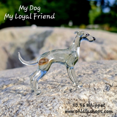 10.56 WHIPPET - WHIPPET - WHIPPET - WHIPPET