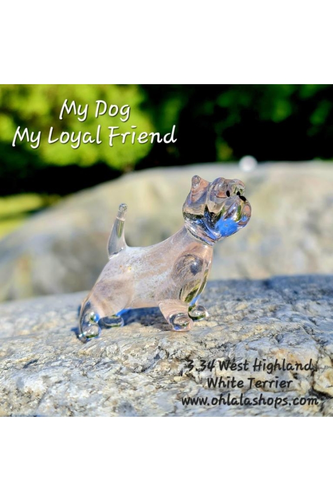 3.34_West Highland White Terrier.jpg