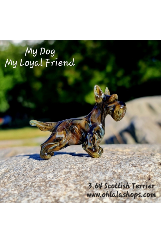 3.64_Scottish Terrier.jpg