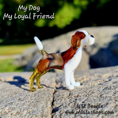 6.38 BEAGLE - BEAGLE - BEAGLE - BEAGLE