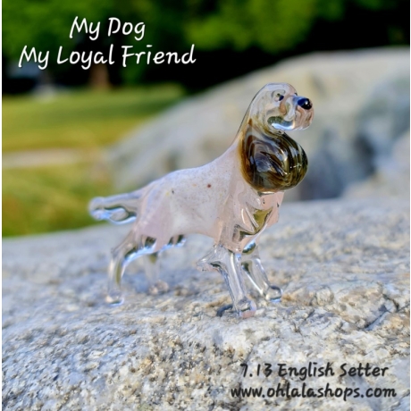 7.13 ENGLISH SETTER - SETTER ANGLAIS - ENGLISCHER SETTER - SETTER INGLÉS