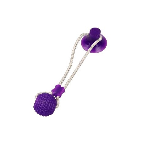 Pet bite toy with suction cup-bouncy ball-purple