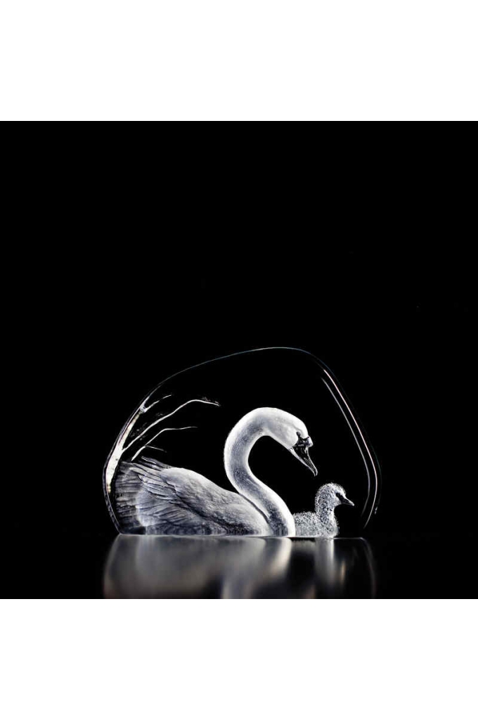 Mats Jonasson Crystal - WILDLIFE - Swan and cygnet - 33314