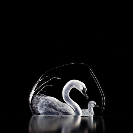 Mats Jonasson Crystal - WILDLIFE - Swan and cygnet - 33314