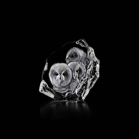 Mats Jonasson Crystal - WILDLIFE - Owlets - 33537