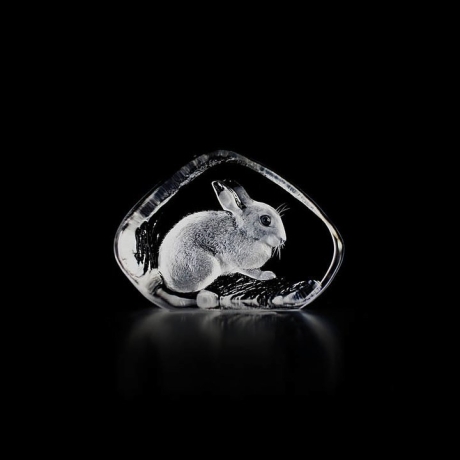 Mats Jonasson Crystal - WILDLIFE - Rabbit - 33738