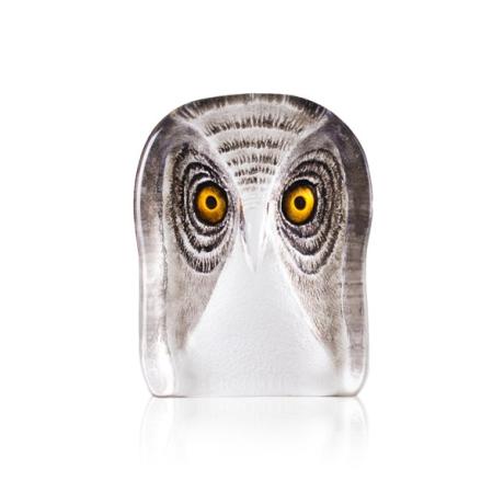 Mats Jonasson Crystal - WILDLIFE PAINTED - Owl medium - 34105