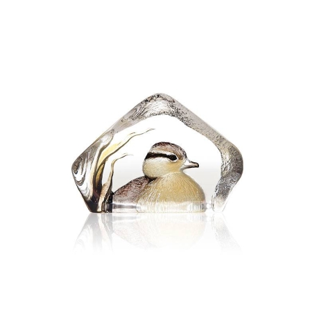 Mats Jonasson Cystal - WILDLIFE PAINTED - Duckling - 34268