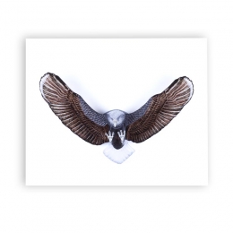 Mats Jonasson Iron & Crystal - LIMITED EDITION - INTO THE WOODS - Eagle wall sculpture painted by Ludvig Löfgren - 68132