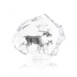 Mats Jonasson Crystal - LIMITED EDITION - WILDLIFE PAINTED - Reindeer with Calf - 34150