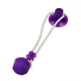 Pet bite toy with suction cup-bouncy ball-purple
