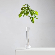 Målerås handmade Crystal - PADAM Vase clear and white by Anna Kraitz - 44138