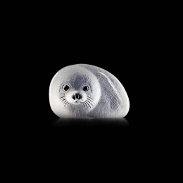 WILDLIFE Seal pup II