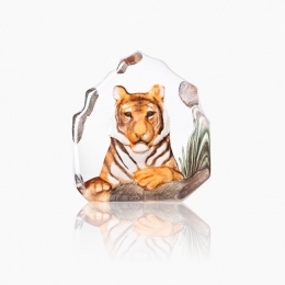 Mats Jonasson Crystal - WILDLIFE PAINTED - Tiger - 34175