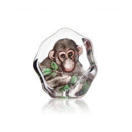 Mats Jonasson Crystal - WILDLIFE PAINTED - Chimpanzee - 34202