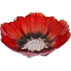 56100 Poppy_250_res.jpg