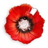 56100 Poppy_250_up_res.jpg