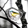34266_nature.jpg